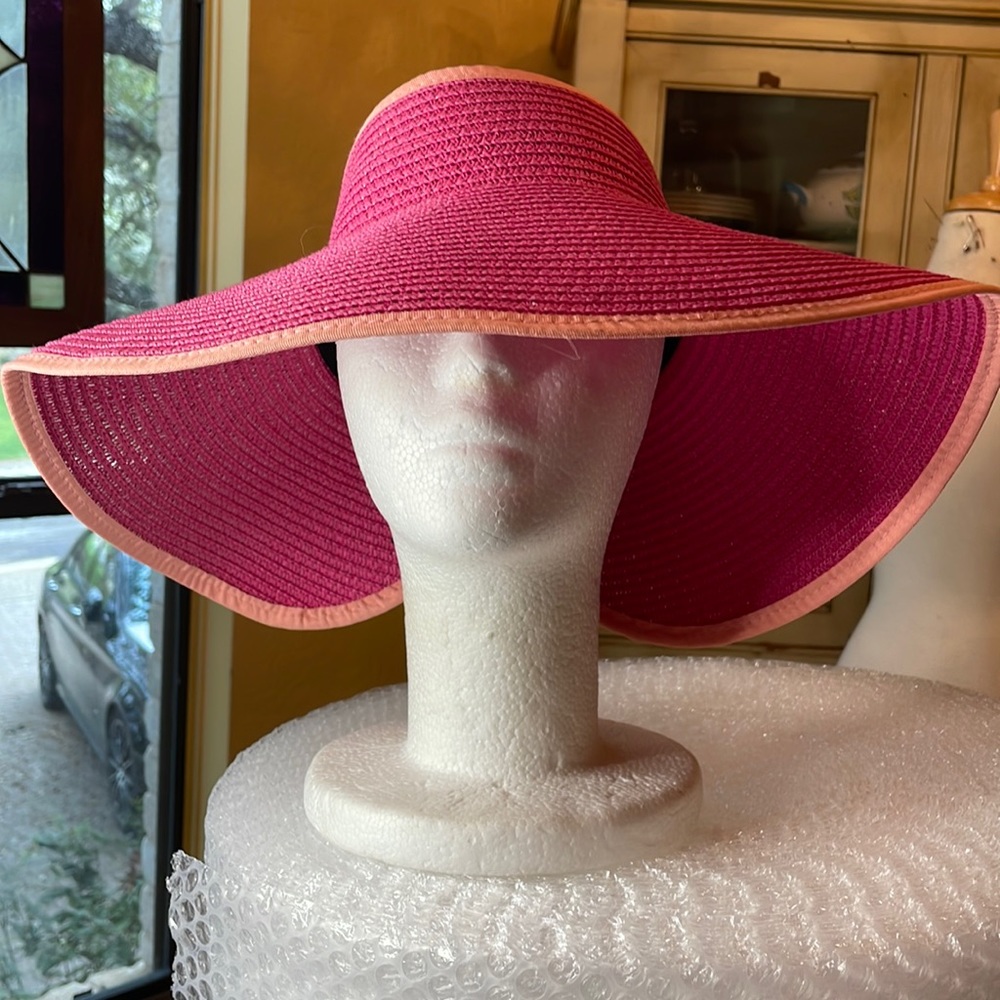 Sun Visor